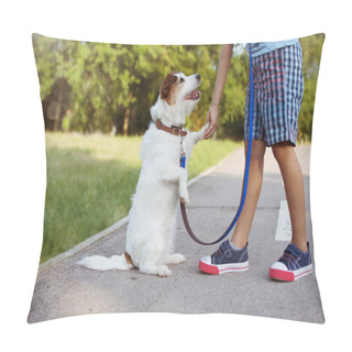 Personality  Dog Giving Five To Its Little Child Master During A Training Cla Pillow Covers