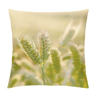 Personality  Wheat Ears Pillow Covers