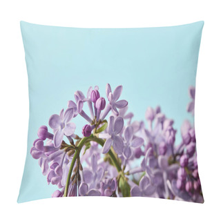 Personality  Close-up Shot Of Beautiful Spring Lilac Flowers Isolated On Blue Pillow Covers