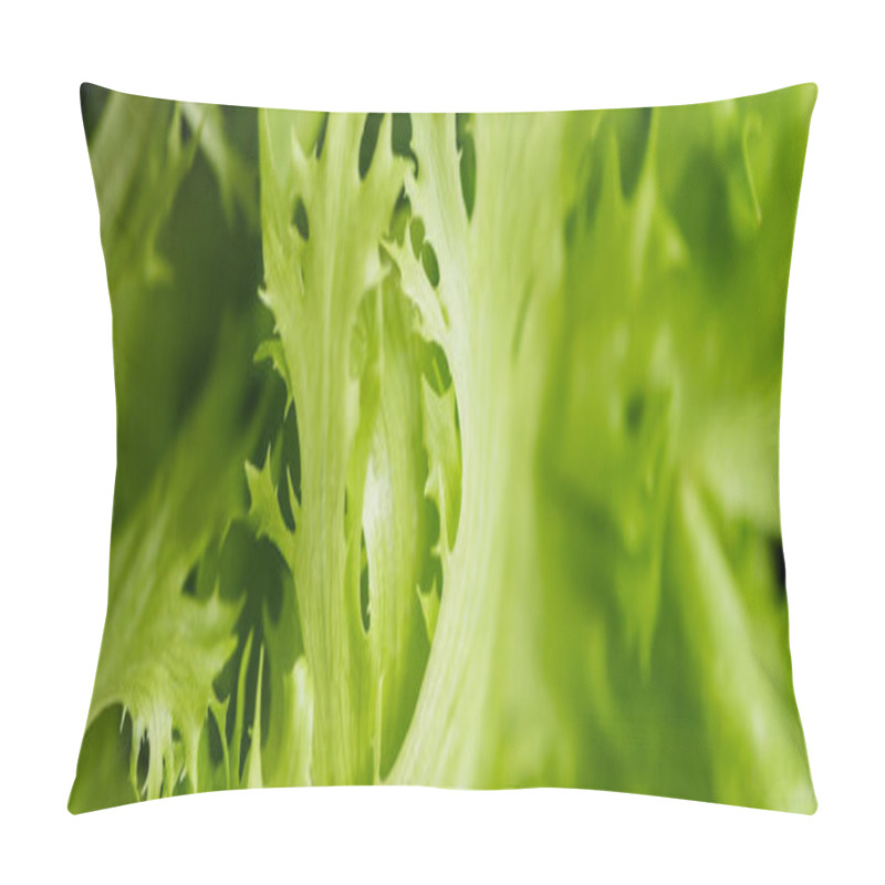 Personality  close up view of fresh green salad leaves, panoramic shot pillow covers