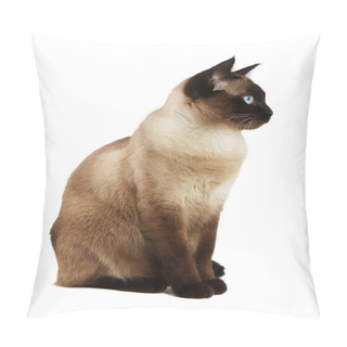 Personality  Side View Of Siamese Cat Isolated On White Pillow Covers