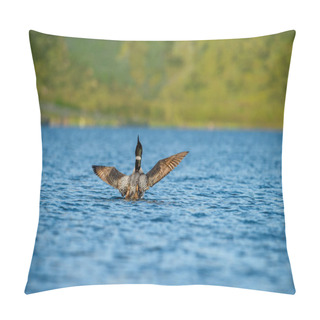 Personality  Black-throated Loon, Ice Diver, Arctic Loon Or Black-throated Loon (Gavia Arctica) Swims In A Lake In Spring. Pillow Covers