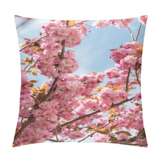 Personality  Low Angle View Of Blooming And Pink Cherry Tree Against Blue Sky Pillow Covers