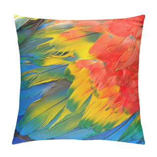 Personality  Scarlet Macaw Feathers Pillow Covers