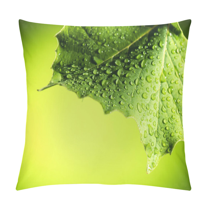 Personality  Leaf Pillow Covers