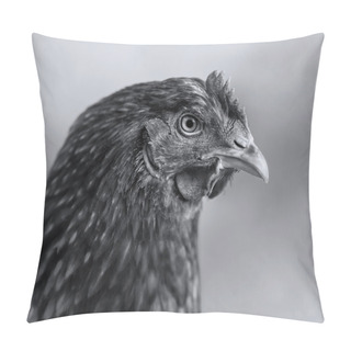 Personality  Red Chicken In Profile.  Black-and-White. Pillow Covers