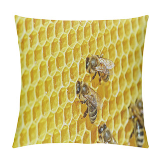 Personality  Bees Swarming On Honeycomb, Extreme Macro . Insects Working In Wooden Beehive, Collecting Nectar From Pollen Of Flower, Create Sweet Honey. Concept Of Apiculture, Collective Work. Pillow Covers