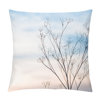 Personality  Sunset Landscape With Dry Grass Pillow Covers