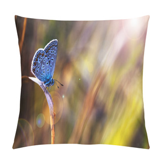 Personality  Beautiful Blue Butterfly In Sunset Pillow Covers