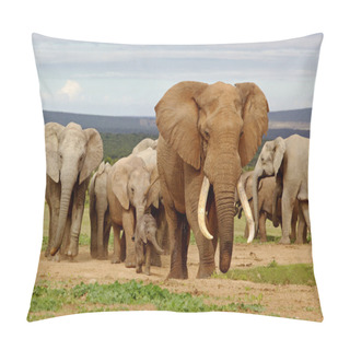 Personality  Elephant Herd Pillow Covers