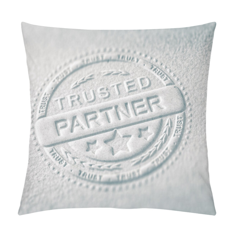 Personality  Confidence in Business pillow covers