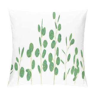 Personality  Silver Dollar Eucalyptus Selection Branches Vector Design Set. C Pillow Covers