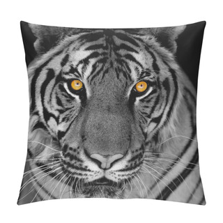 Personality  Black And White Tiger Pillow Covers