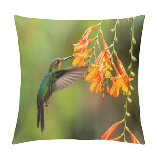 Personality  Green-crowned Brilliant, Heliodoxa Jacula, Hovering Next To Orange Flower, Bird From Mountain Tropical Forest, Waterfall Gardens La Paz, Costa Rica, Beautiful Hummingbird Sucking Nectar From Blossom Pillow Covers