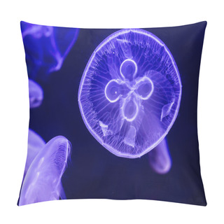 Personality  Beautiful Moon Jellyfish. Glowing In The Dark. Pillow Covers