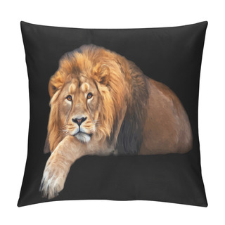 Personality  The Dreamy Look Of A Lying Asian Lion, Isolated On Black Background. Pillow Covers