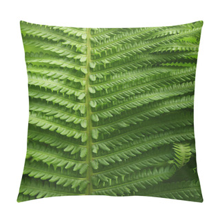 Personality  Beautiful Leaves Of Fern Pillow Covers