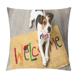 Personality  Cute Dog Posing On The Carpet Pillow Covers