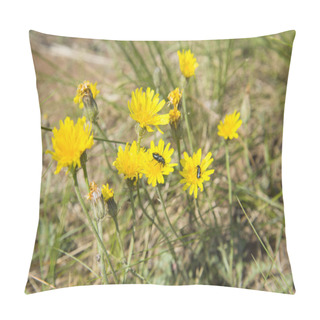 Personality  Yellow Dandelions Crawling Beetles Pillow Covers