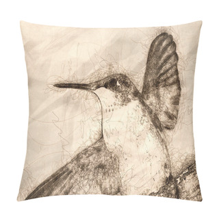 Personality  Sketch Of A Close Up Of A Ruby Throated Hummingbird Against A Dark Background Pillow Covers