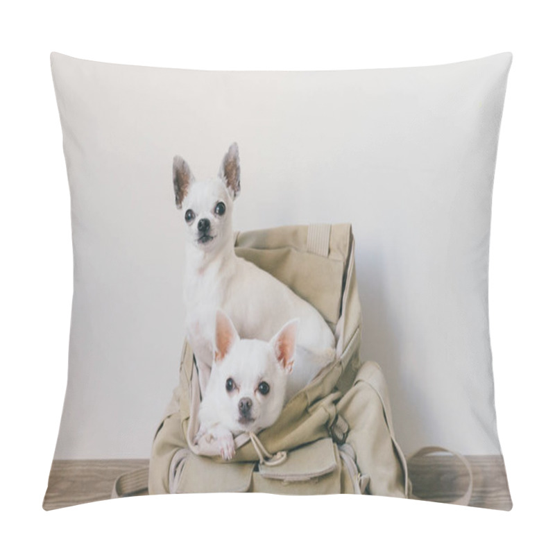 Personality  Two chihuahua puppies sitting in pocket of hipster canvas backpack with funny faces and looking different ways. Dogs travel. Comfortable relax. Pets on vacation. Animals family lying together at home. pillow covers