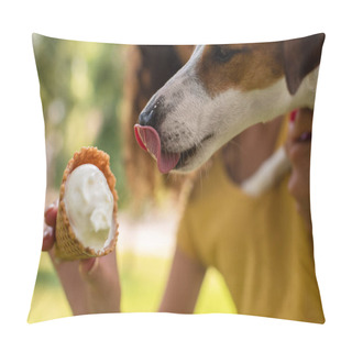 Personality  Cropped View Of Woman Feeding Jack Russell Terrier Dog With Tasty Ice Cream Pillow Covers