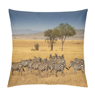 Personality  Herd Of Plains Zebras In The Serengeti National Park, Tanzania. Plains Zebra (Equus Quagga, Formerly Equus Burchellii), Also Known As The Common Zebra Or Burchell's Zebra. Pillow Covers