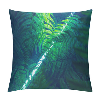 Personality  An Enchanting View Underneath A Lush Canopy Of Fern Fronds With Gentle Rays Of Sunlight Piercing Through To Reveal Intricate Leaf Patterns And Textures. Pillow Covers