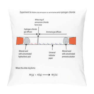 Personality  Illustration Of Ammonia And Hydrogen Chloride Difussion Pillow Covers