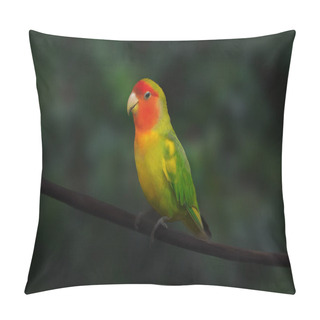 Personality  Rosy-faced Lovebird (Agapornis Roseicollis) - Parrot Pillow Covers
