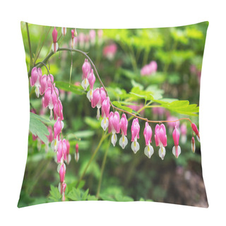 Personality  Bleeding Heart Pillow Covers