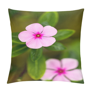 Personality  Rose Periwinkle Pillow Covers