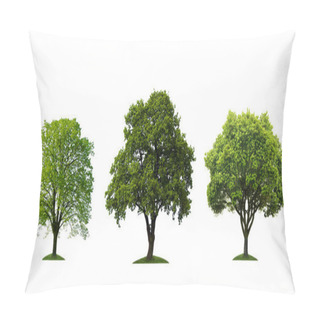 Personality  Three Beautiful Tree Isolated Pillow Covers