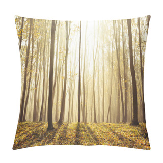 Personality  Foggy, Sunny Morning In Autumn Forest. Fairytale Forest Sunlight And Shadows  Pillow Covers