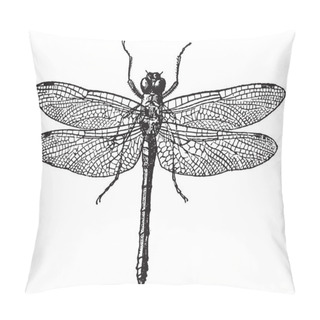 Personality  Fig 1. Dragonflies, Vintage Engraving. Pillow Covers