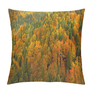 Personality  Lush, Colorful Autumn Forest Landscape, Aerial View Pillow Covers