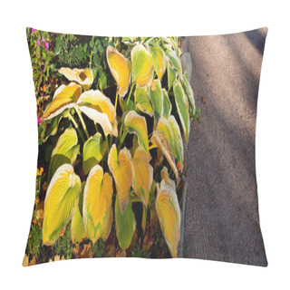 Personality  Flower Hosts, Variegated Yellow Autumn Leaves Hosts With White Stripes. Pillow Covers