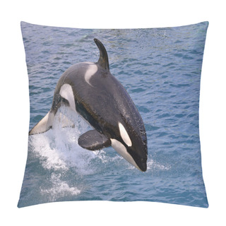 Personality  Killer Whale Jumping Out Of Water Pillow Covers