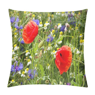 Personality  Two Red Flower In A Field Of Summer Flowers Pillow Covers