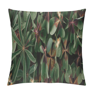 Personality  Full Frame Image Of Bronze Dutch Clover Covered By Water Drops Background  Pillow Covers