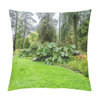Personality  Gunnera Manicata Leaves At One Of Walking Paths In Benmore Botanic Garden, Scotland Pillow Covers