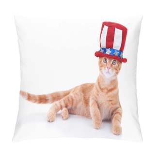 Personality  Patriotic Cat Pillow Covers