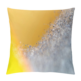 Personality  Macro Of Mold Pillow Covers