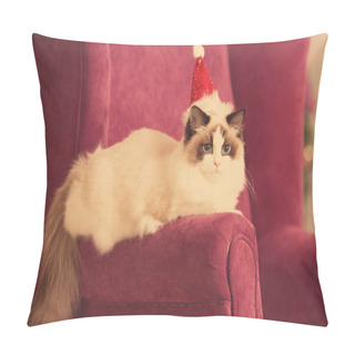 Personality  Cat. Christmans Party, Winter Holidays Cat With Gift Box. New Year Cat. Christmas Tree In Interior Background. Pillow Covers