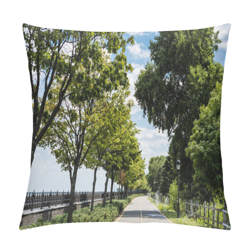 Personality  shadows on path with yellow line near trees with fresh leaves  pillow covers