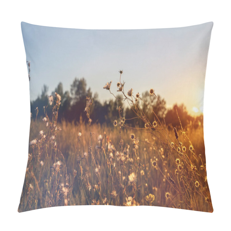 Personality  Abstract warm landscape of dry wildflower and grass meadow on warm golden hour sunset or sunrise time. Tranquil autumn fall nature field background. Soft golden hour sunlight at countryside pillow covers