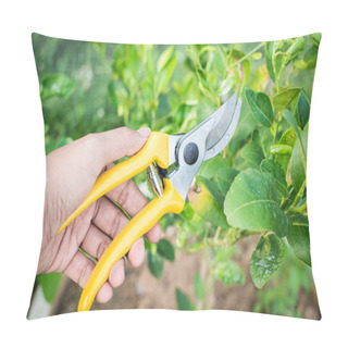 Personality  Pruning Shears  Pillow Covers