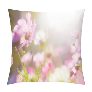 Personality  Beautiful Cosmos Flowers Pillow Covers