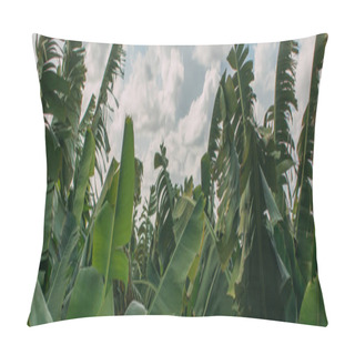 Personality  Panoramic Shot Of Green Palm Leaves Against Sky  Pillow Covers