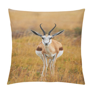 Personality  Sprigbok In The Grass Pillow Covers
